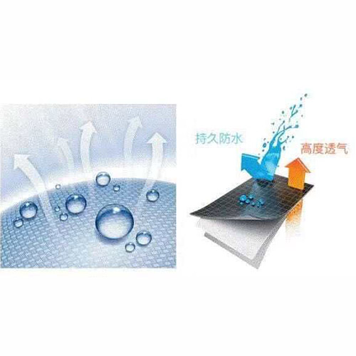 應用案例10